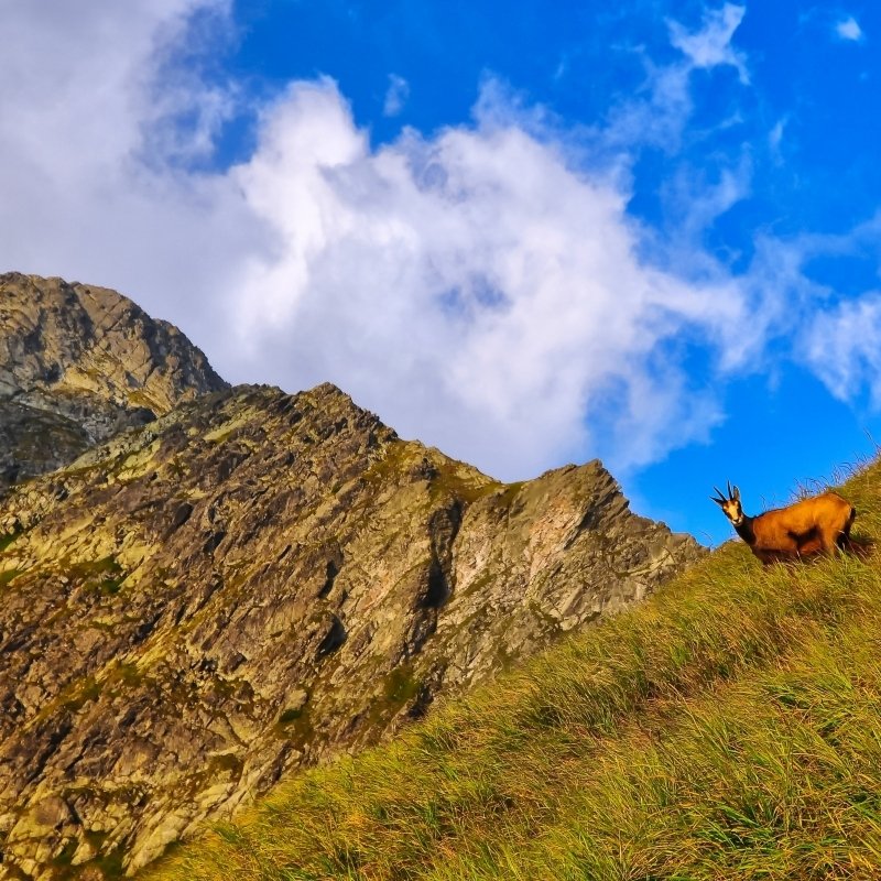 <p>Wiosenny weekend w Tatrach</p>