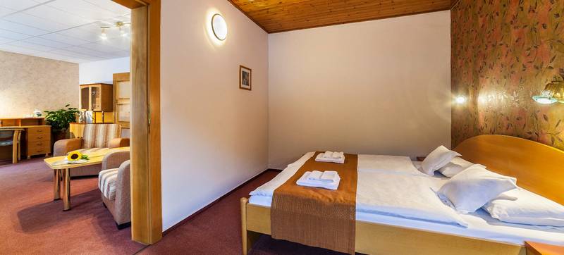Apartament duży