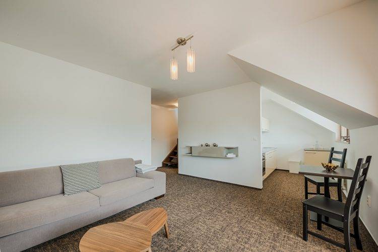 Apartament Iňuščak