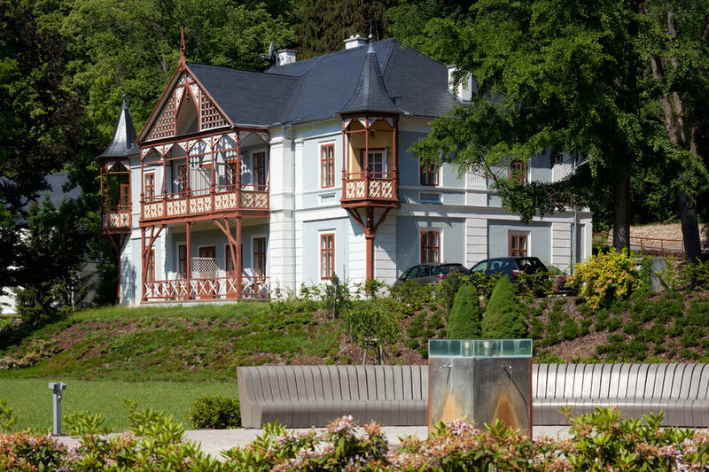 Hotel Willa Alpejska Róża **** 