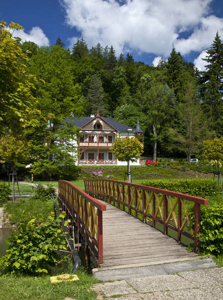 Hotel Willa Alpejska Róża **** 