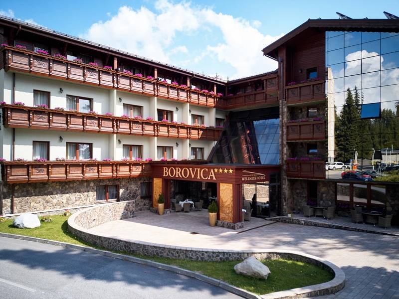 Wellness Hotel Borowica ****