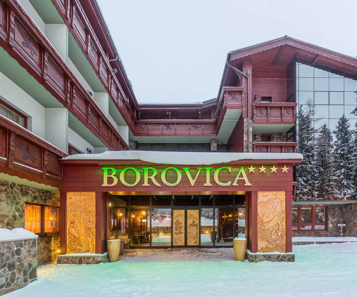 Wellness Hotel Borowica ****