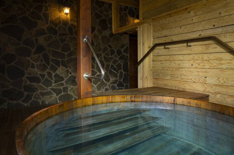 Wellness Hotel Borowica ****