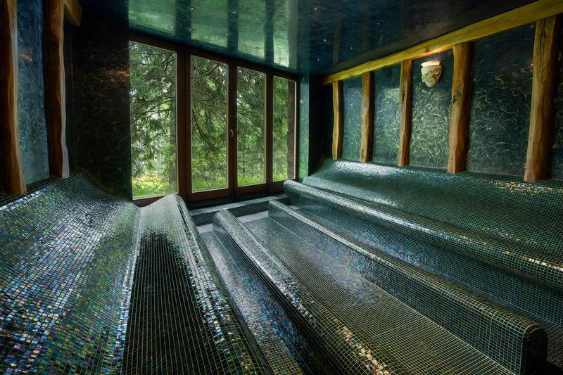 Wellness Hotel Borowica ****