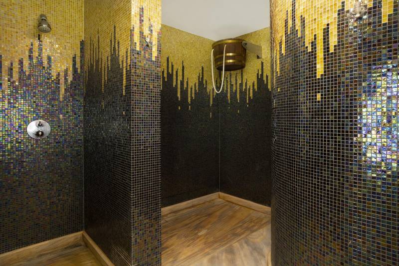 Wellness Hotel Borowica ****