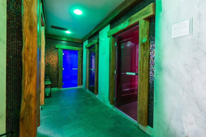 Wellness Hotel Borowica ****
