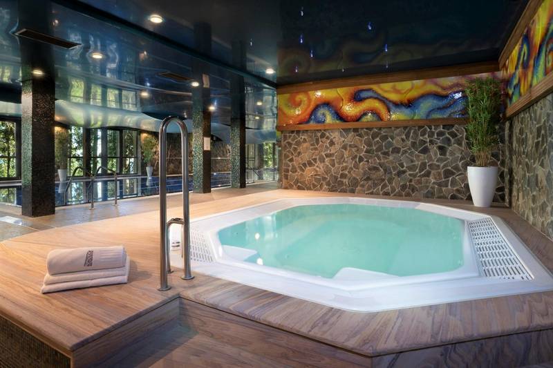 Wellness Hotel Borowica ****