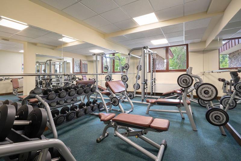 Wellness Hotel Borowica ****