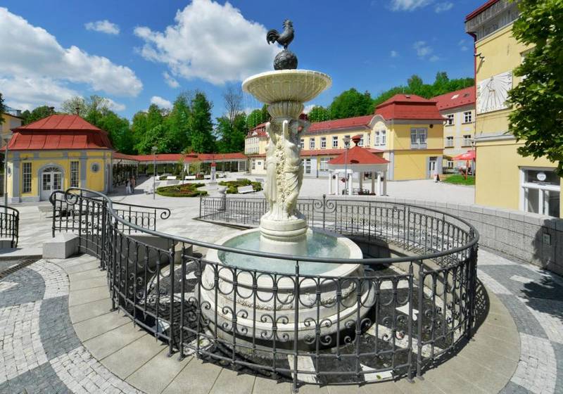 Hotel Nový Dům ***