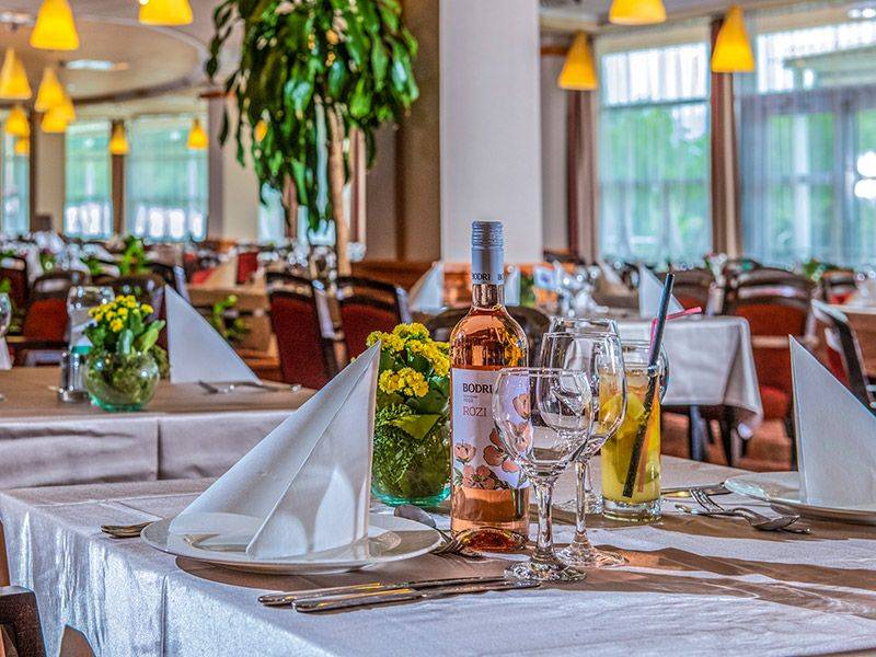Thermal Hotel Visegrád ****
