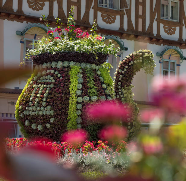 Hotel Pohoda ****