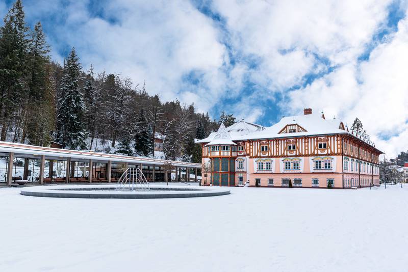 Willa Luxury Spa & Wellness VILA VALAŠKA ****