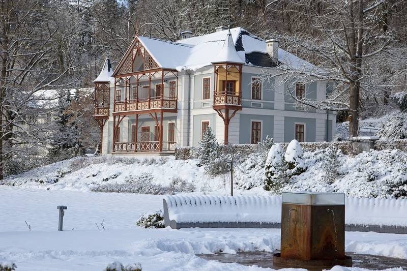 Willa Luxury Spa & Wellness VILA VALAŠKA ****