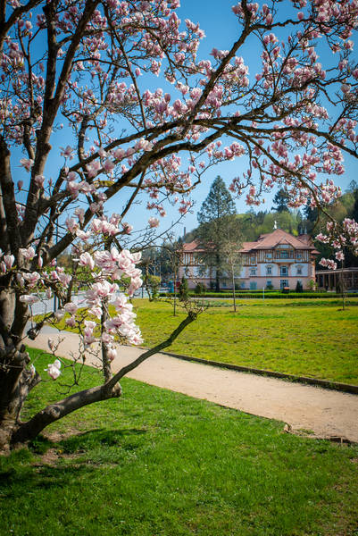 Willa Luxury Spa & Wellness VILA VALAŠKA ****