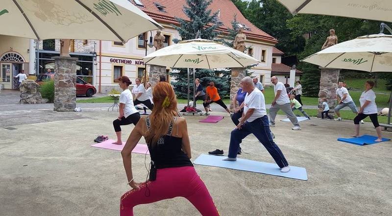 Pensjonat Uzdrowiskowy Dom Leczniczy Alžbeta 