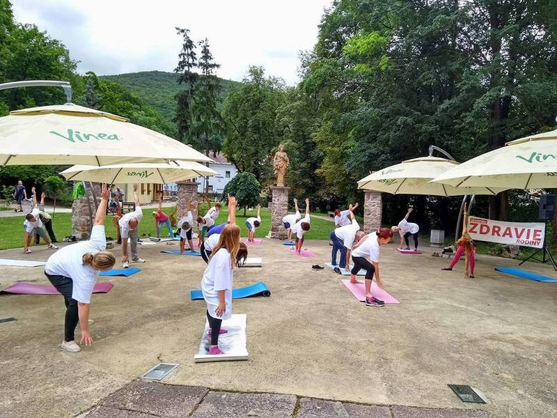 Pensjonat Uzdrowiskowy Dom Leczniczy Alžbeta 