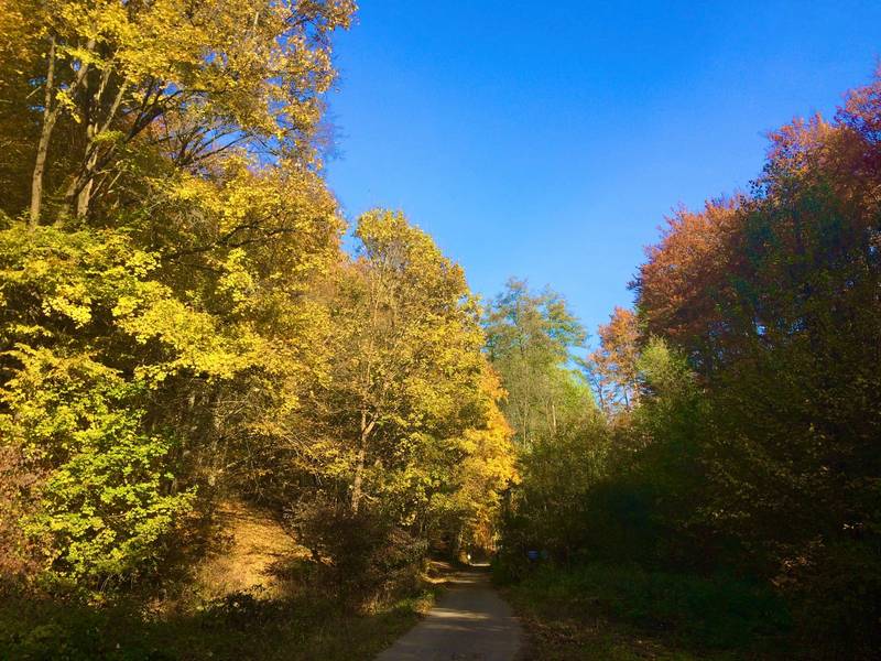 Pensjonat Uzdrowiskowy Dom Leczniczy Alžbeta 