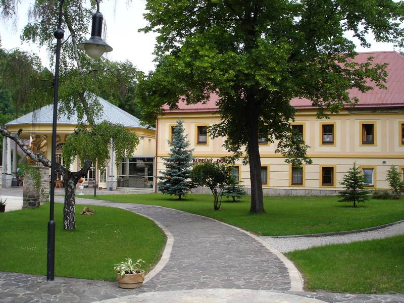 Pensjonat Uzdrowiskowy Dom Leczniczy Alžbeta 