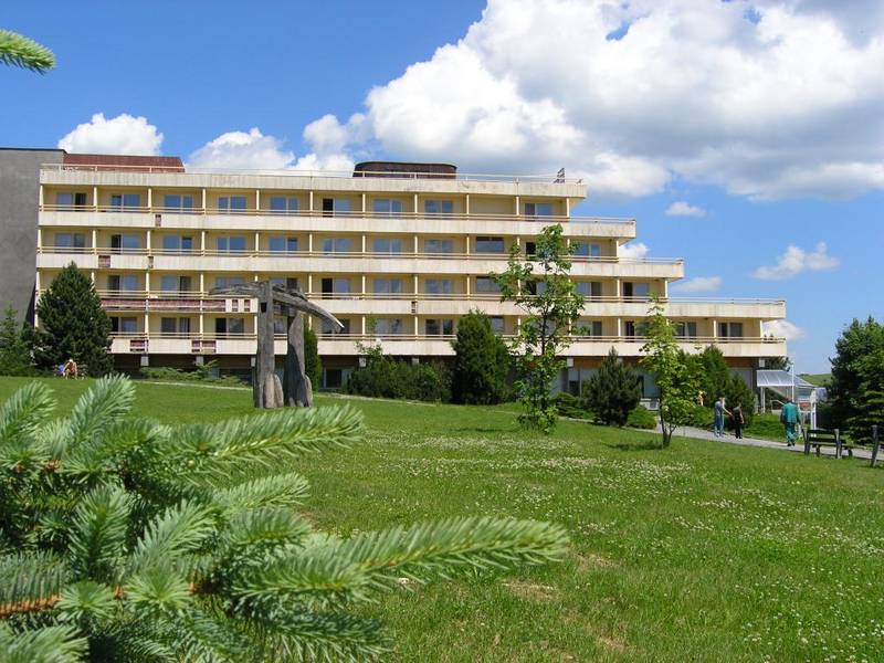 Hotel Trawertyn  ***