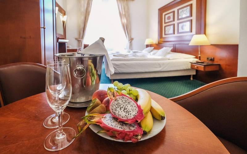 Hotel Hotel uzdrowiskowy Villa Smetana  ****