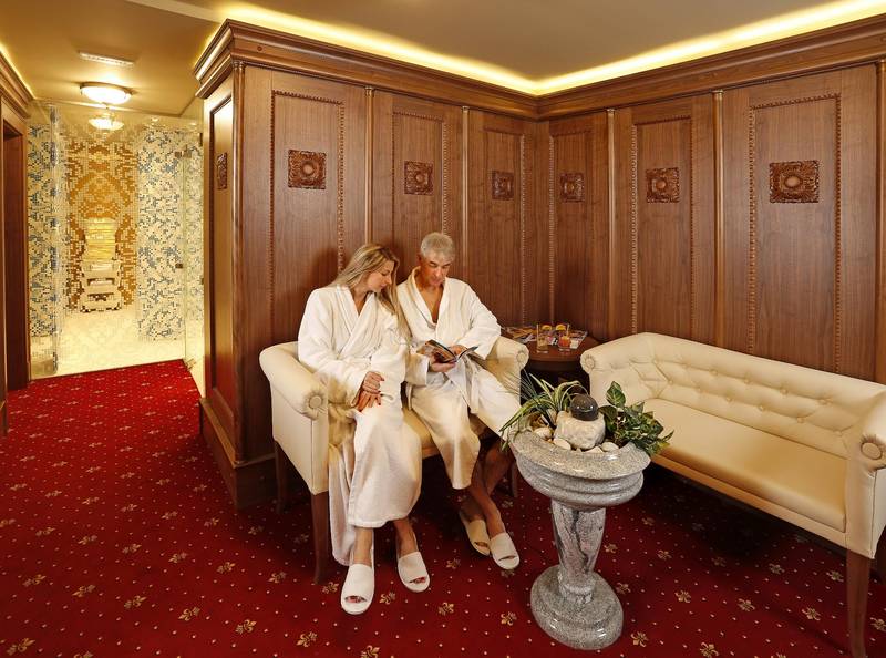 Hotel Hotel uzdrowiskowy Villa Smetana  ****