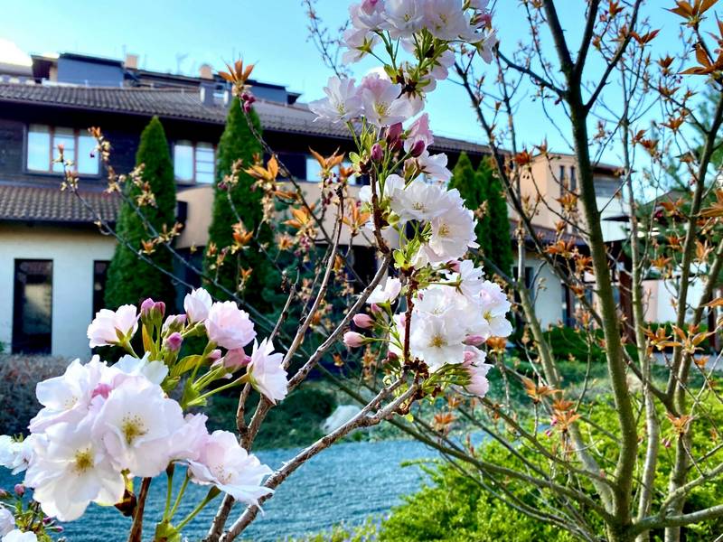 Hotel Caramell Premium Resort ****