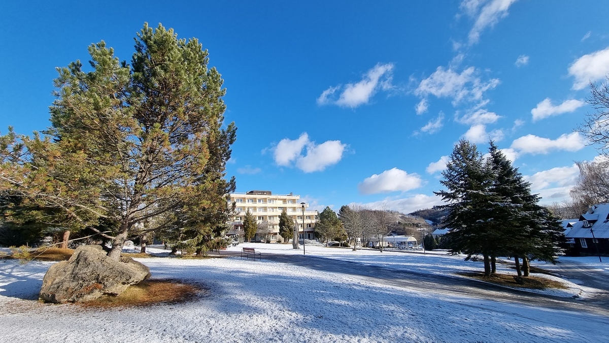 Hotel Trawertyn  ***
