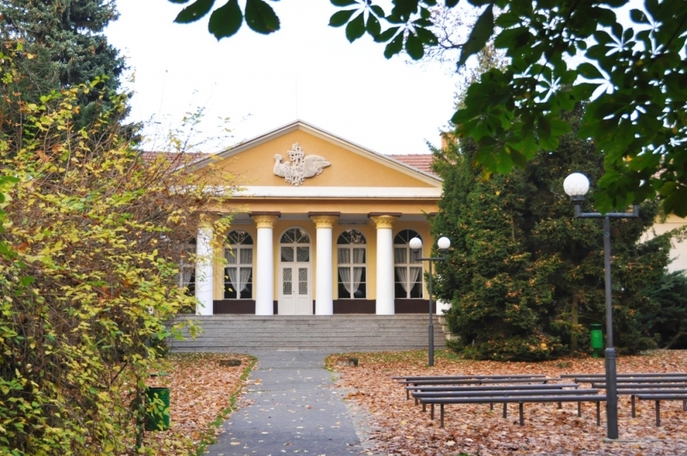 Pobyt zabiegowy DERMA energetyczny
