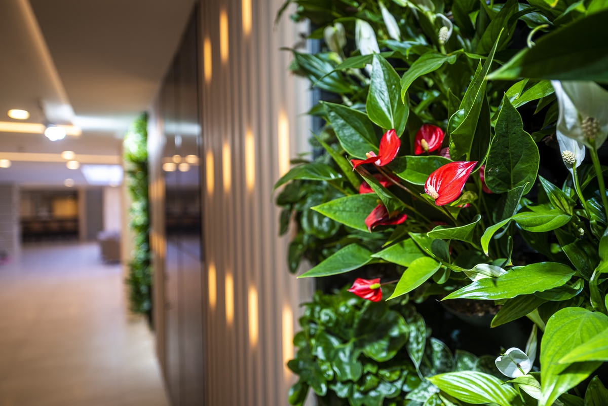 Greenfield Hotel Golf & Spa ****