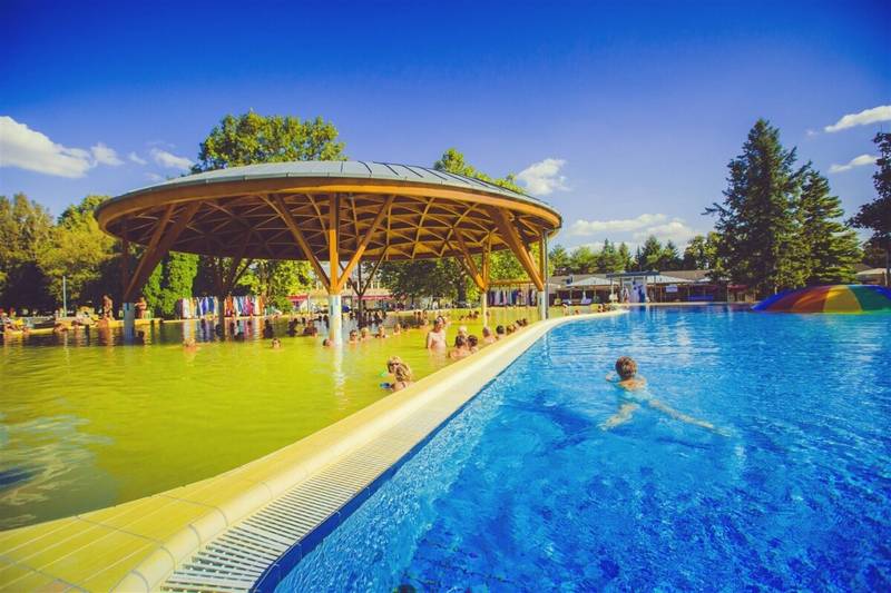 Wakacje 2025 - Repce Gold