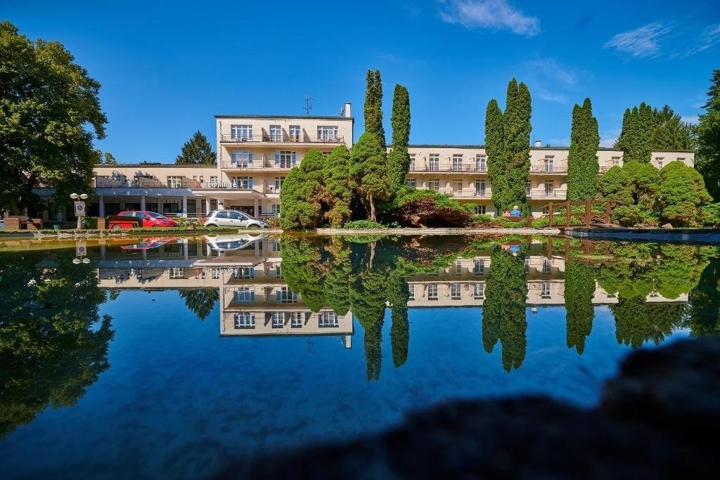 Hotel Uzdrowiskowy Palace ***