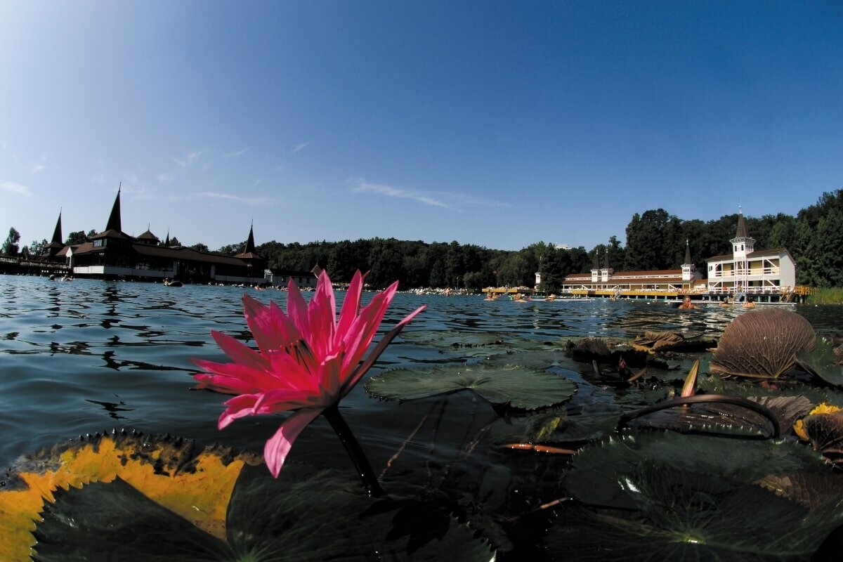 Lotus Therme Hotel & Spa *****