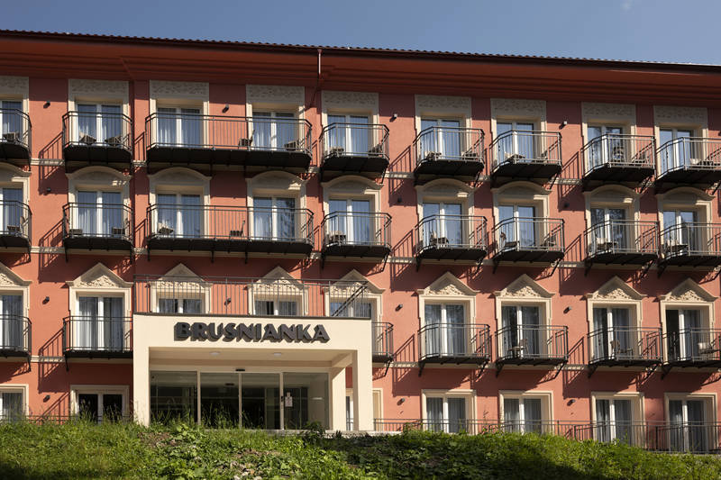 Dependance Brusnianka ***