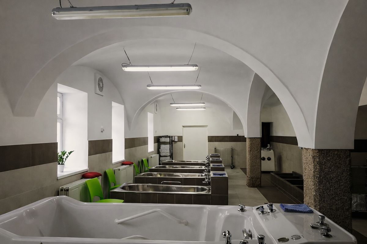 Pobyt seniora 60+ 2026