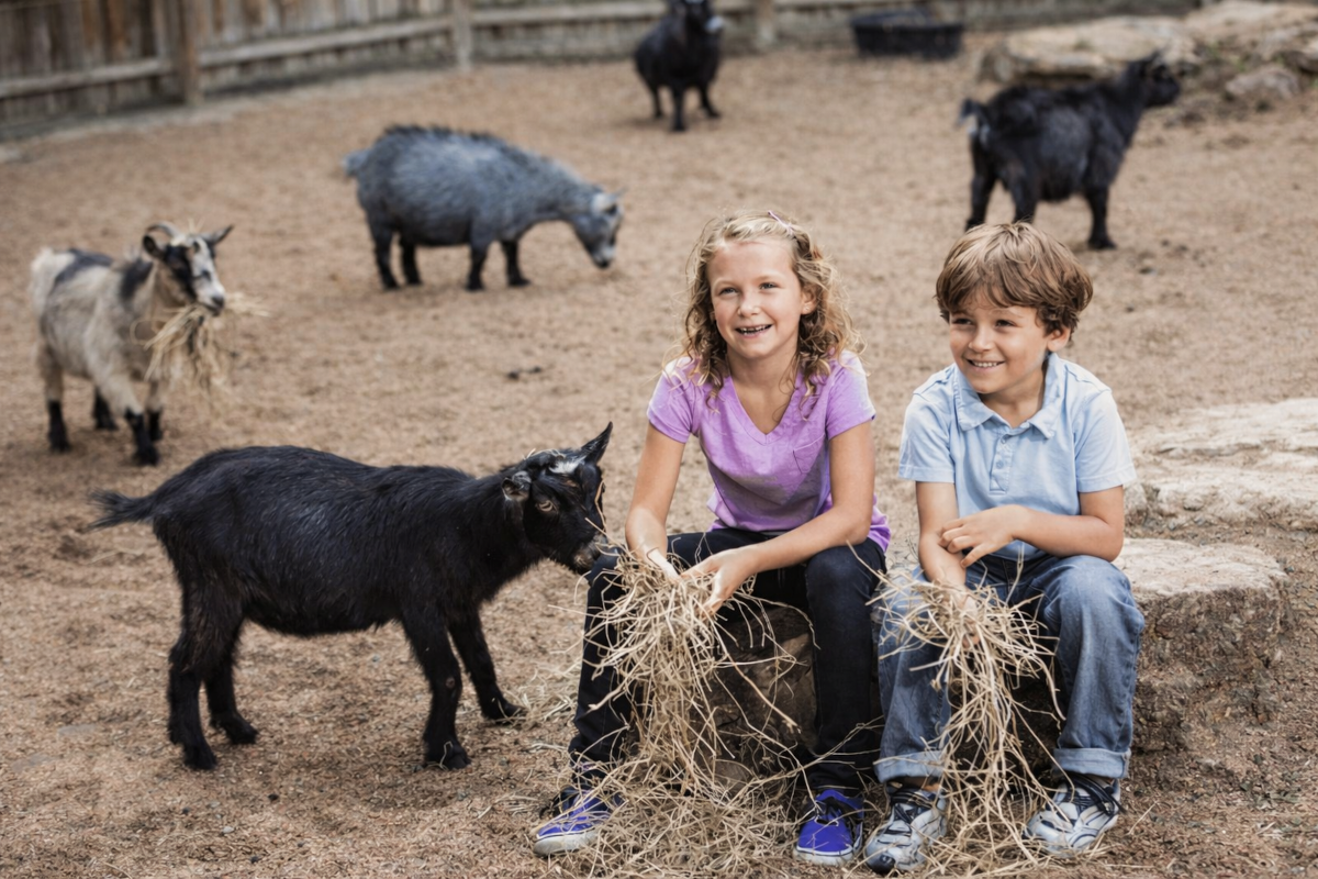 Pobyt wellness + ZOO