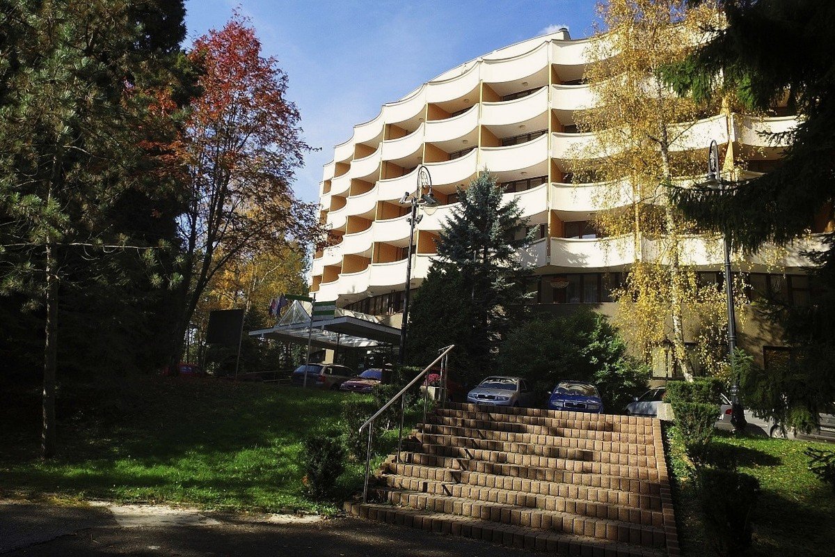 Dom Leczniczy Bôrina (Baník) ***