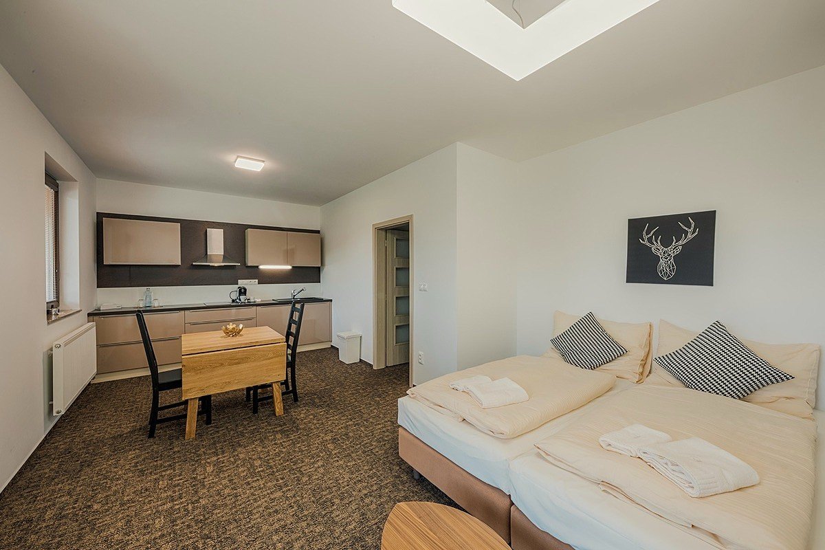 Apartament Iňuščak