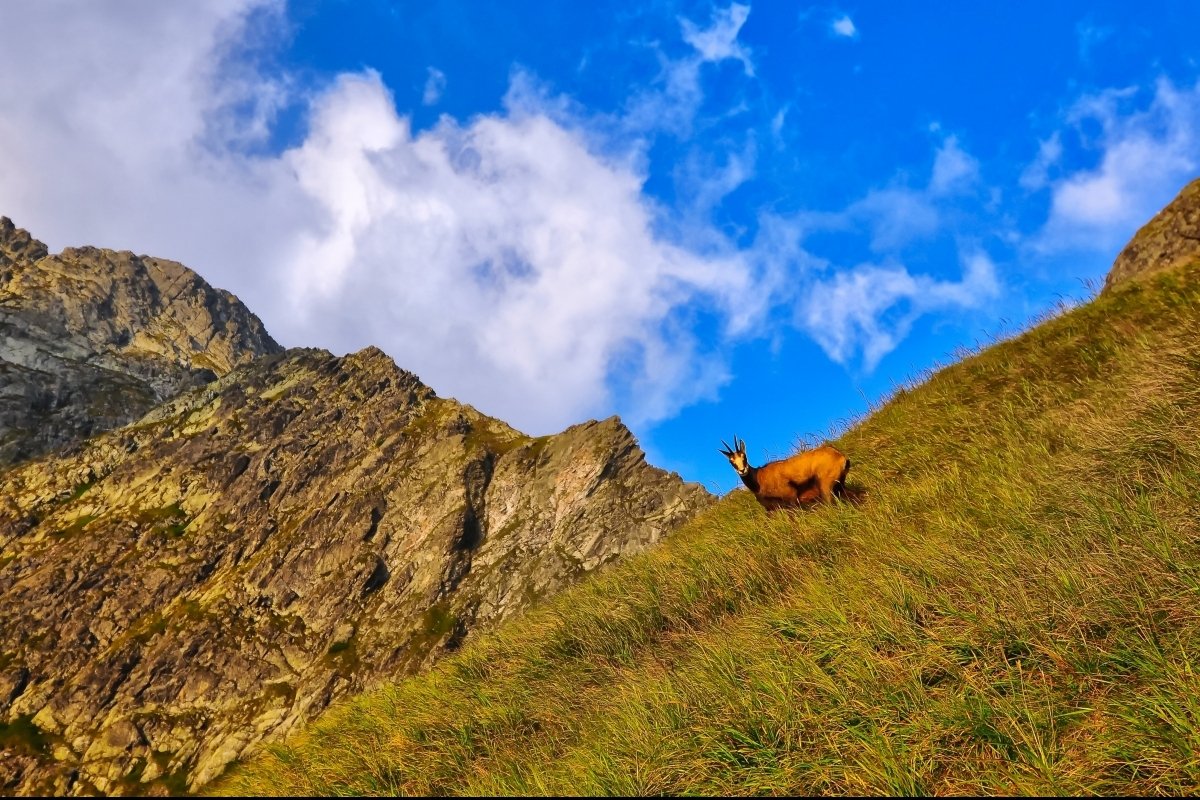 <p>Wiosenny weekend w Tatrach</p>