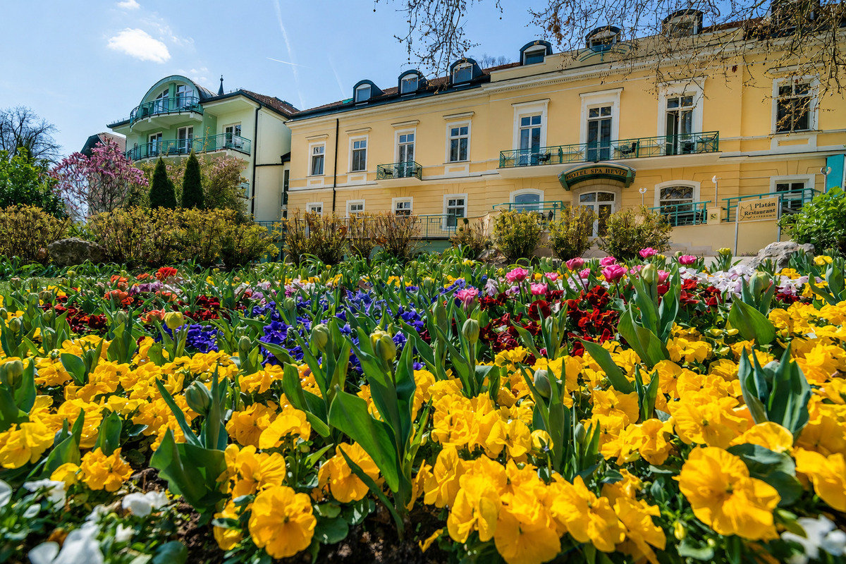 Hotel Spa Hévíz ****