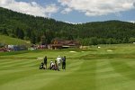 Pole golfowe Grey Bear